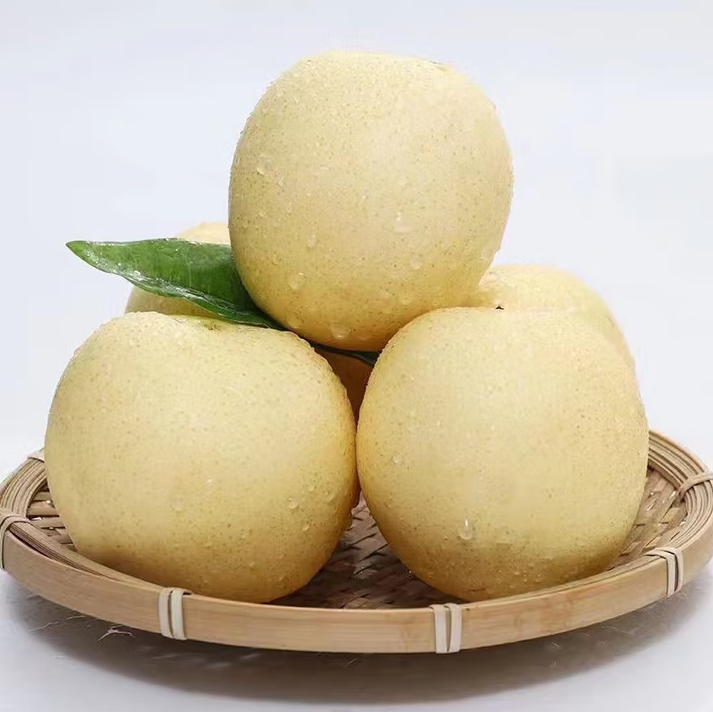 现摘现发 脆甜多汁梨子