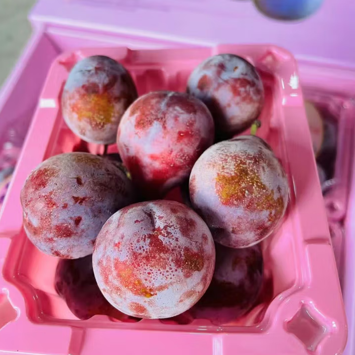 李子鲜果新鲜水果